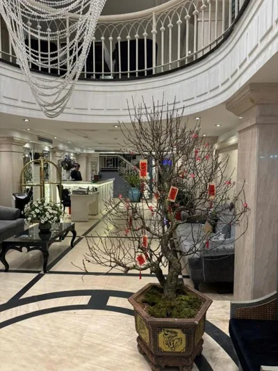 Victor Gallery Hotel & Spa – Foto 14